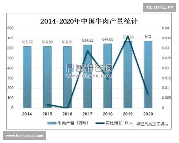 CBA赛事票价分析:影响因素、观众需求与未来趋势探讨 CBA赛事票价分析:影响因素、观众需求与未来趋势探讨